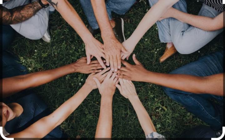 What would you like to see?