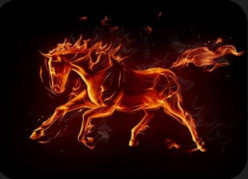 The Year of the Fire Horse