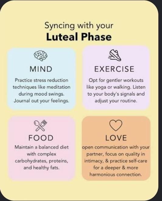 Slowing down in luteal