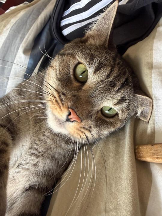 Paul Ivan Sandin Cristobal