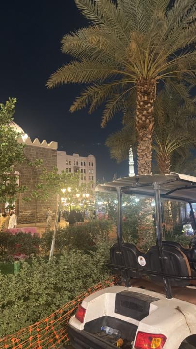 Ana Raquel Domingues Mohamad