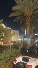 Ana Raquel Domingues Mohamad