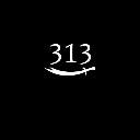 The 313 icon
