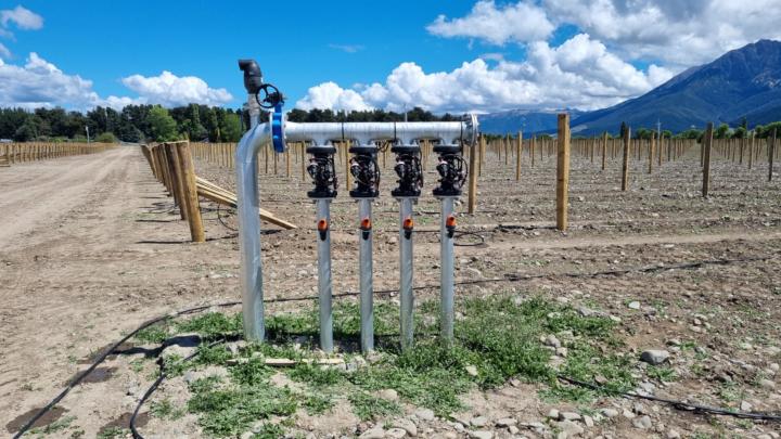 I'm Daniel van Waas!