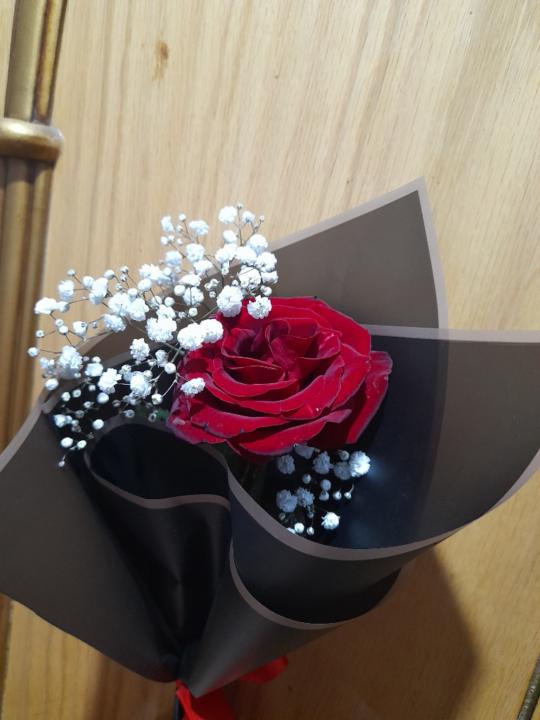 حكمةالله مجدى ابراهيم