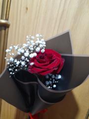 حكمةالله مجدى ابراهيم