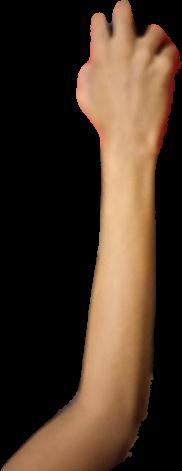 Hasin Dor