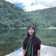 Shin Kaung Pyae Shan