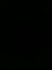 Shadow Dark