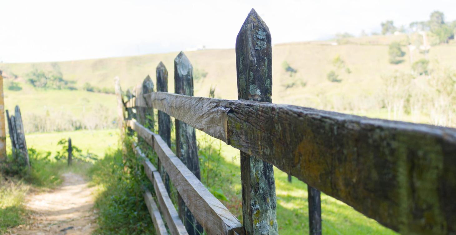 Boundary Guard - Module 1