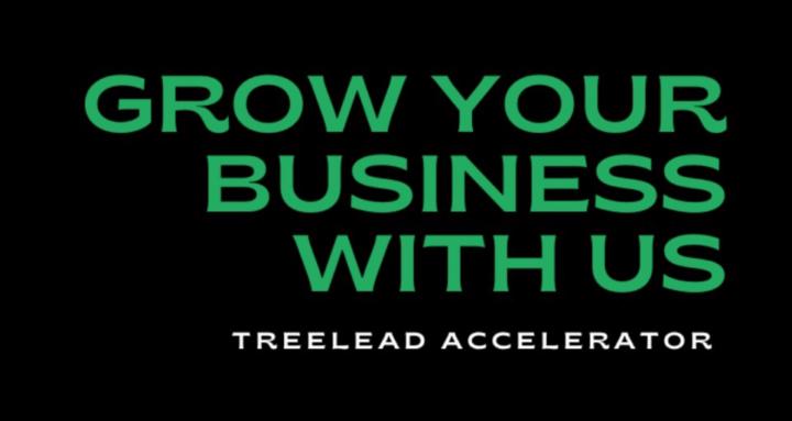 TreeLead Accelerator