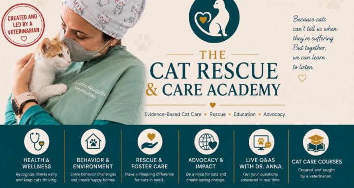 The Cat Rescue & Care Academy