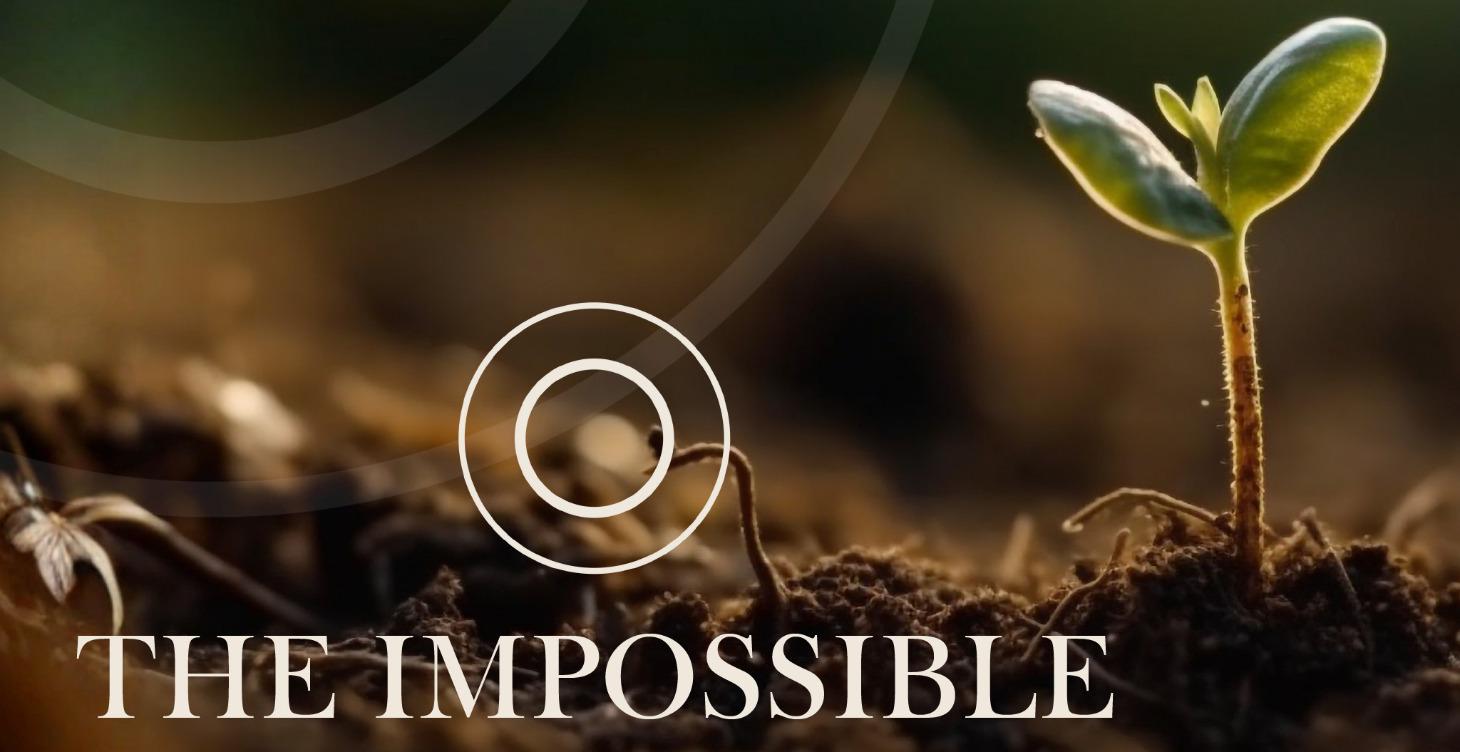STEP 2: DEFINING THE IMPOSSIBLE