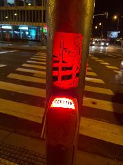 Mathias Foged Petersen