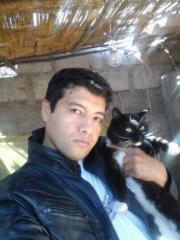 Arnold Augusto Manchego Collao