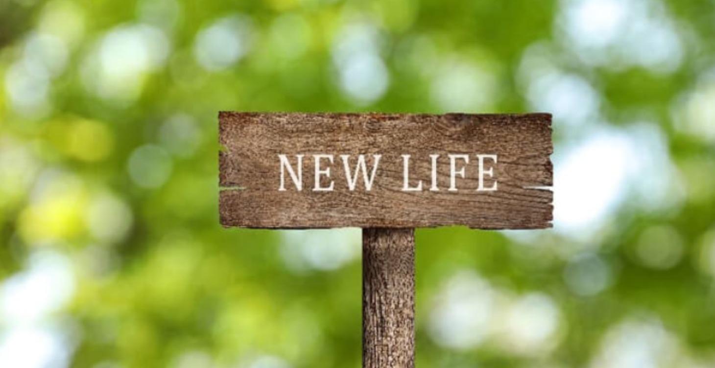 Rebound: From Lifeline to Choice