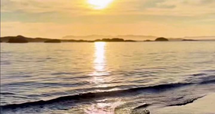 Aligned Frequency Community