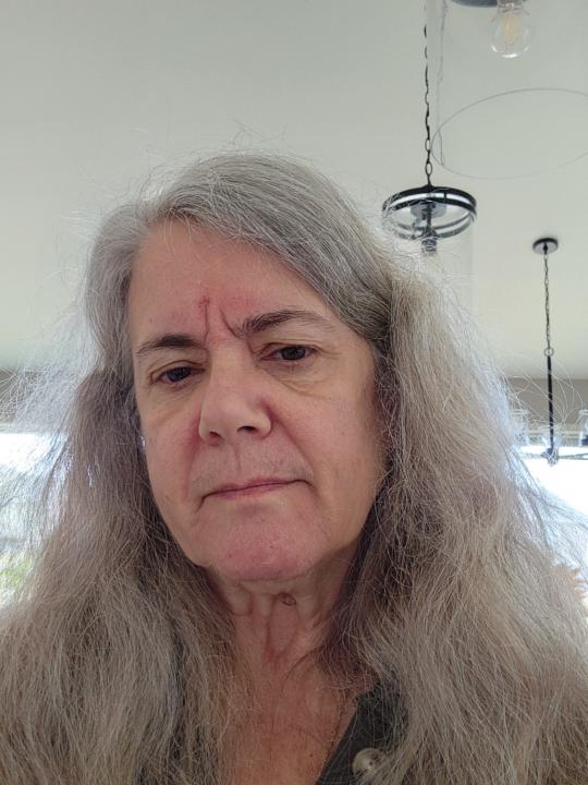 Julie VanHook