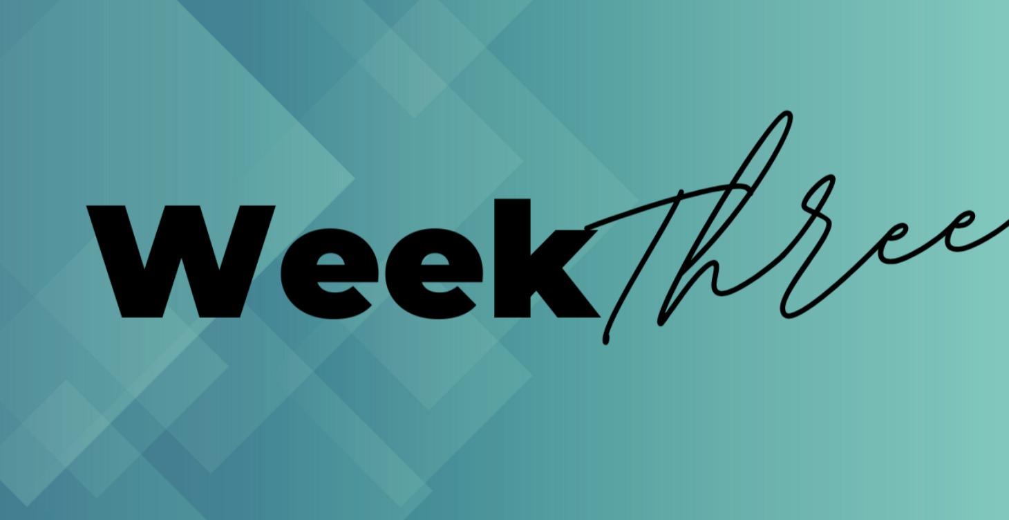 Week 3