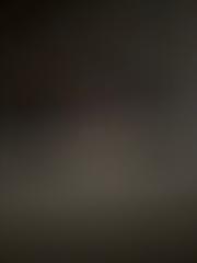 לירון אביטל