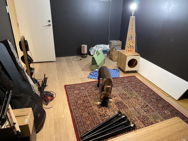 How I Built My Home Studio from Scratch
