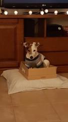 Manuela Jimenez Morillo