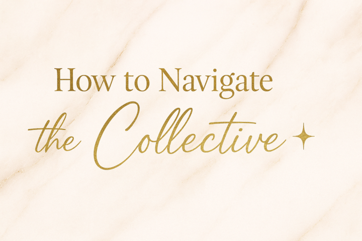 💫 How to Navigate The Narvia Brand Collective
