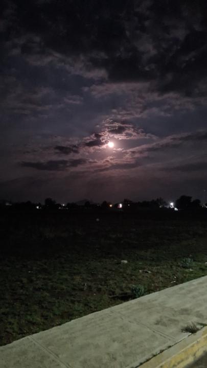 Evelyn Itzel Cruz Pérez