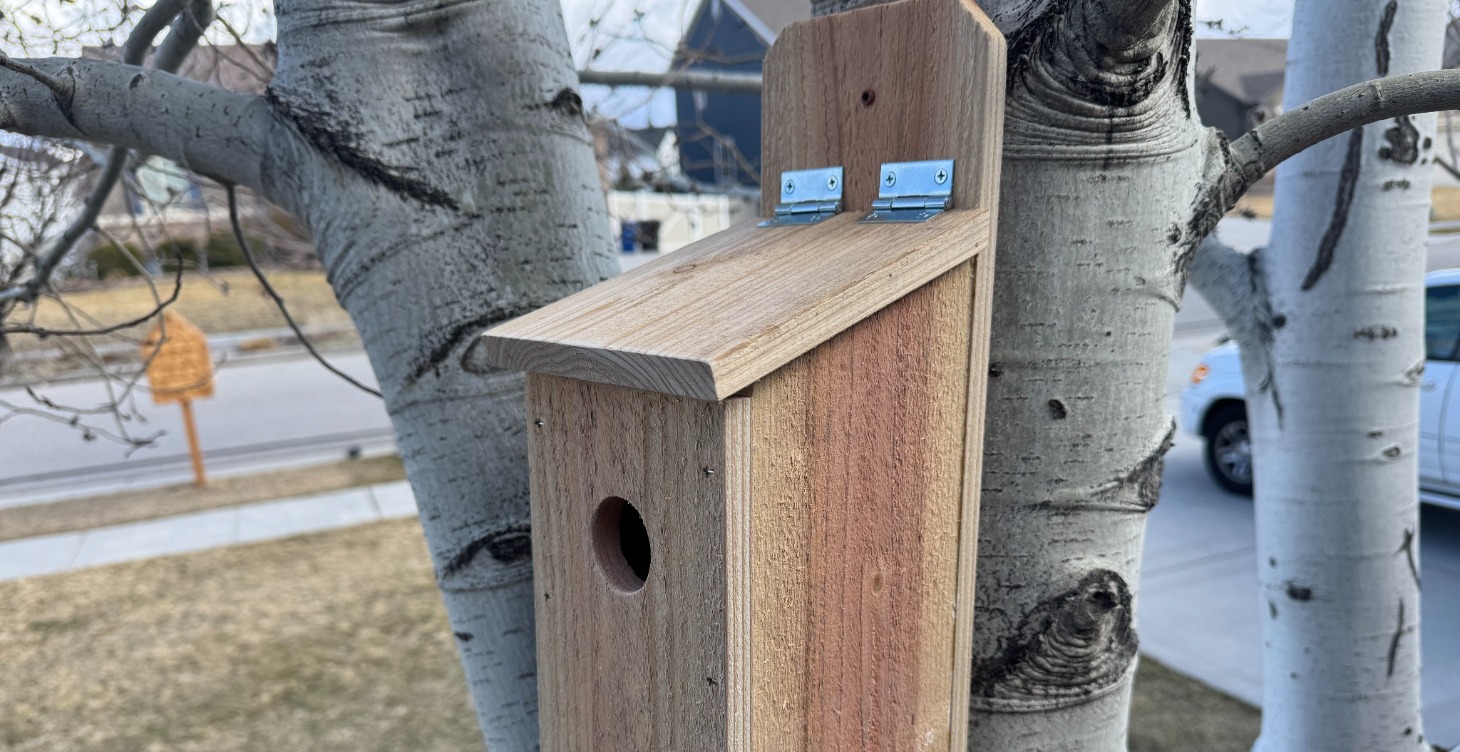 The "One Picket" Birdhouse Plan (Digital Download)