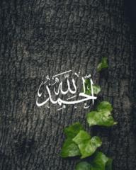 Bilal Medjahed