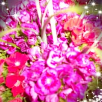 Marie-Danielle Attobra