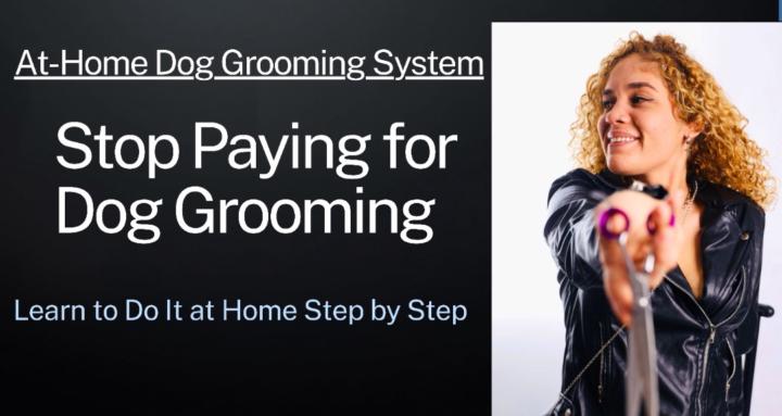DIY Dog grooming