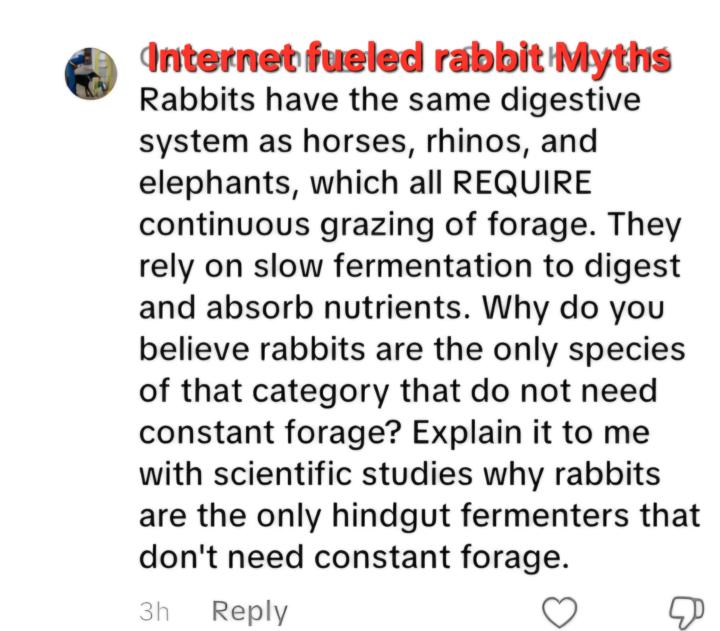 More Rabbit Myths from the internet 