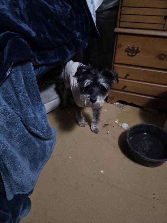 I am so sorry I have been slow posting .