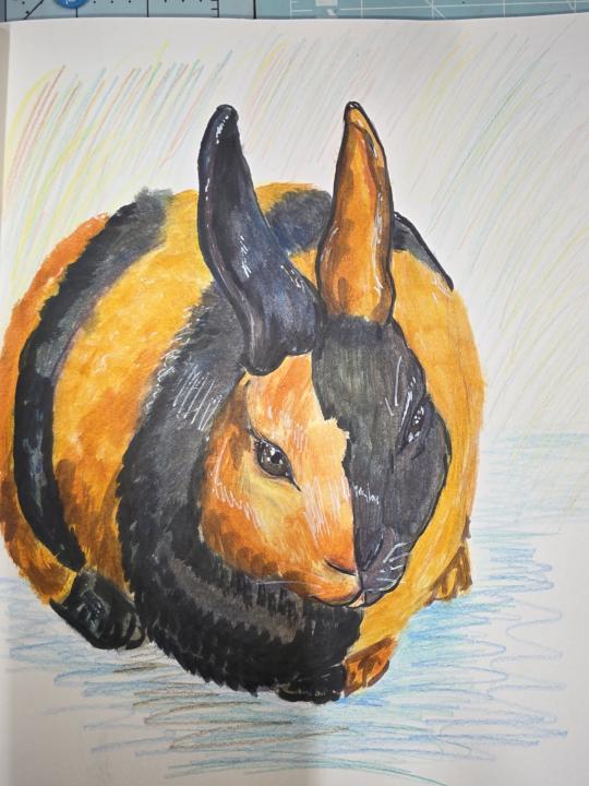 Share your Arts and crafts 