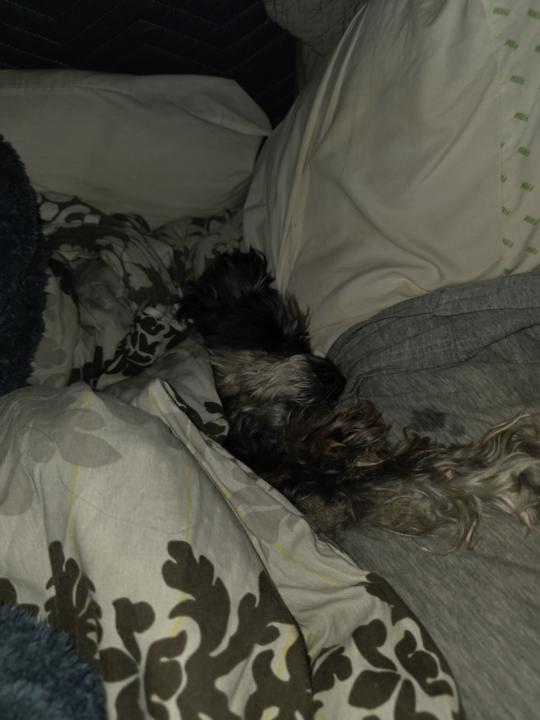 Course Update & Next Steps