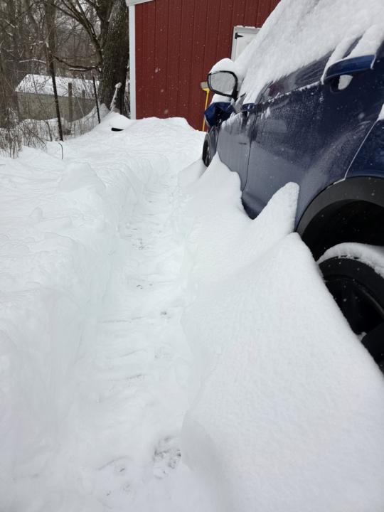 How is everyone  holding up this morning?? 