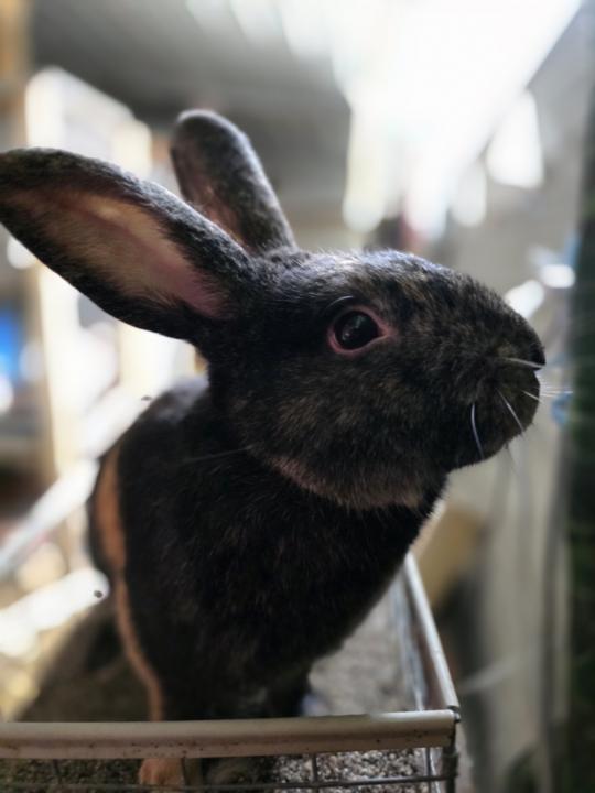 Sunday Funday post you favorite  photo from last week