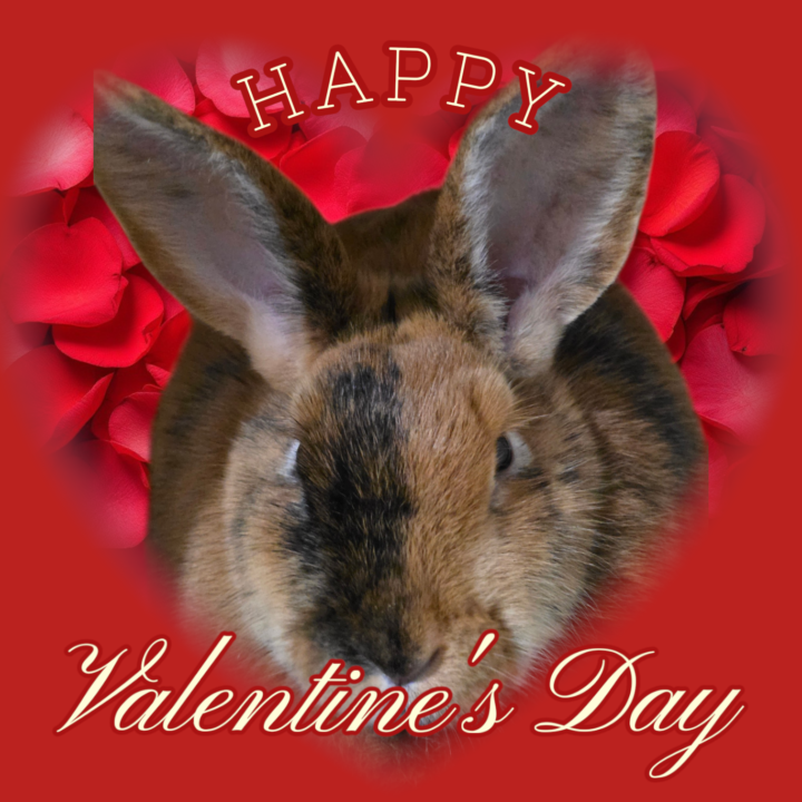 Friday the 13th + Valentine’s Weekend Edition 🖤❤️