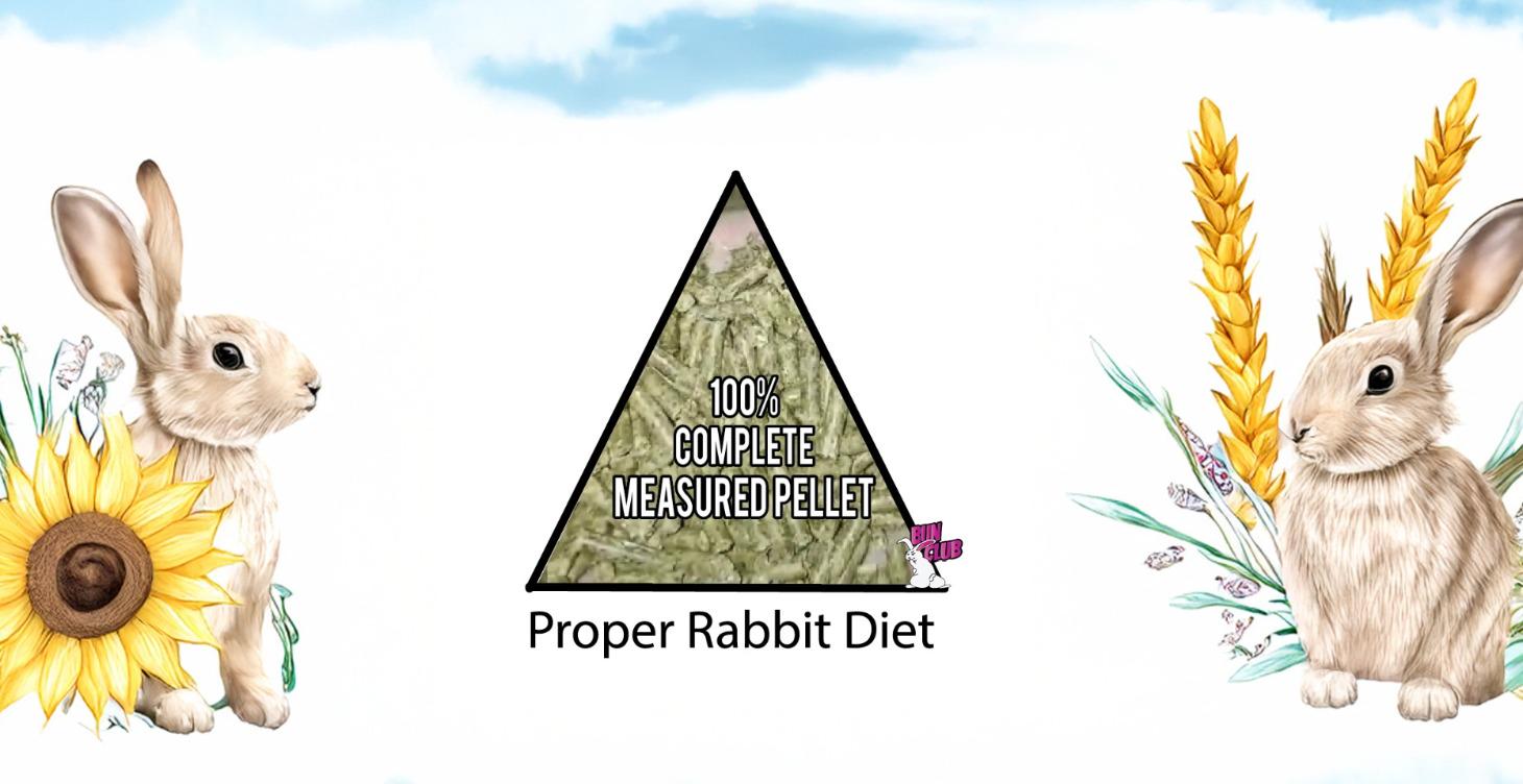 Rabbit Science & Nutrition