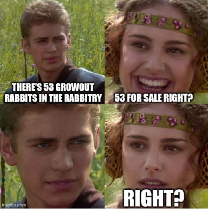 Hard culling is important 