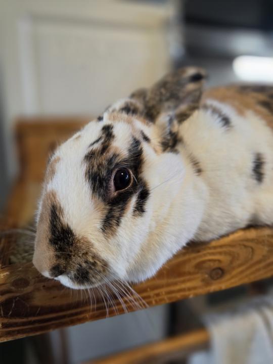 Pics from this weekends Tranport run.