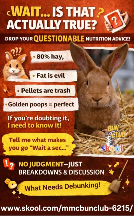 SKOOL IS BETTER WITH YOU!! 🔥🐰