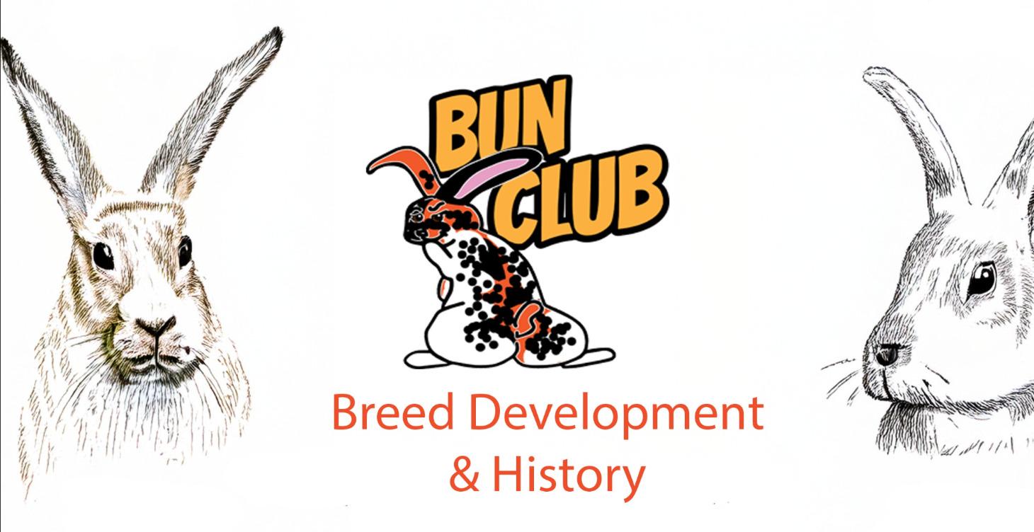 Breed Development & History