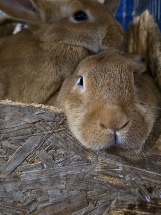 What's everyone's  Plans for the weekend?