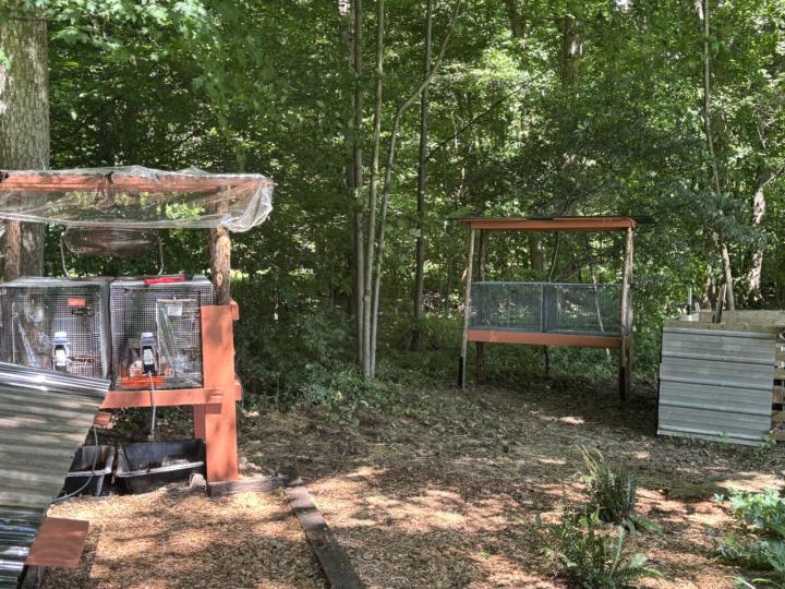 Quarantine hutch