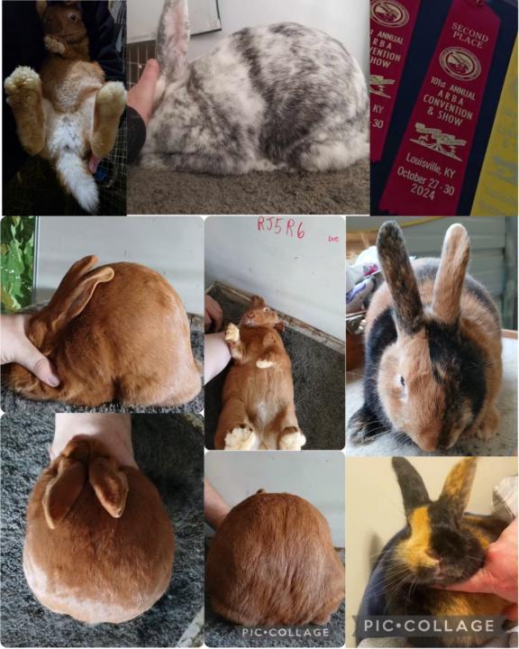 Welcome new members!! PLEASE introduce yourselves!!!