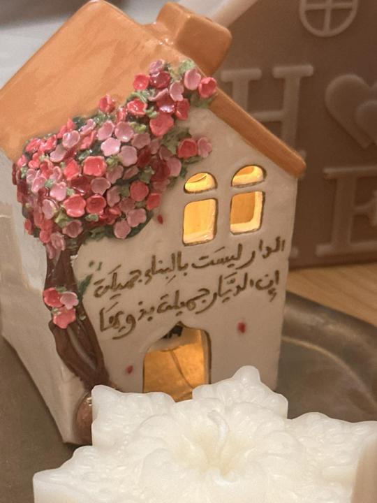 مشروعي Aura Clay