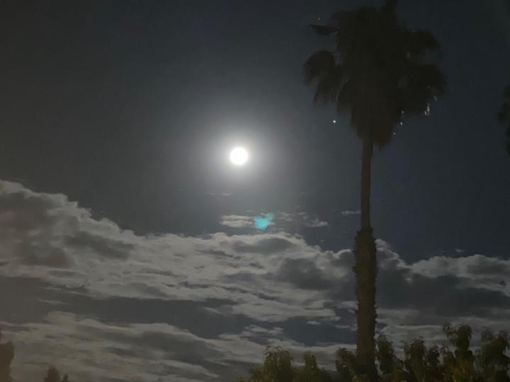 Abdullah Binparmjeet