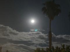 Abdullah Binparmjeet